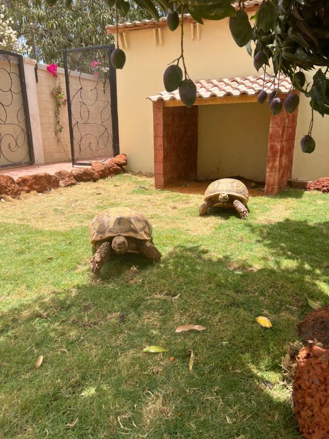 Chez Lilie Maison D'Hotes A Saly Zewnętrze zdjęcie