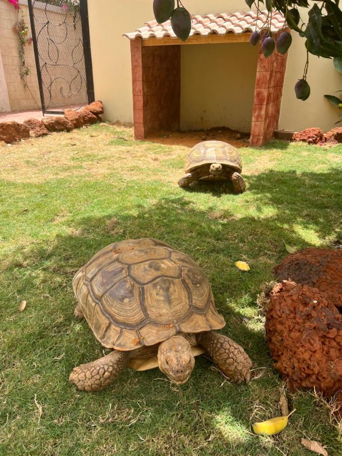 Chez Lilie Maison D'Hotes A Saly Zewnętrze zdjęcie